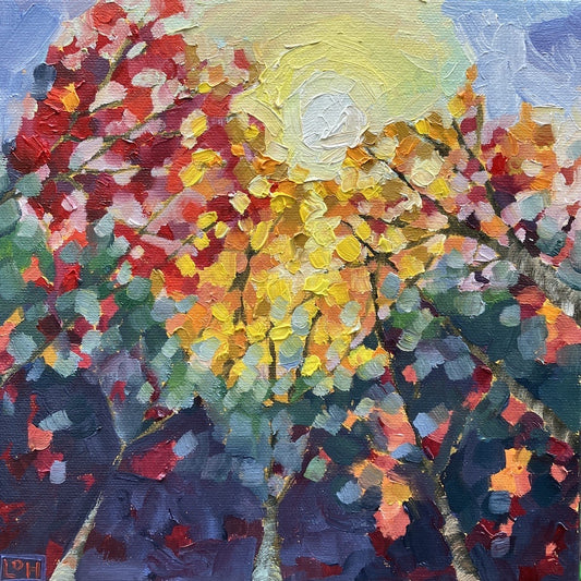 Fall Shadow (Study)