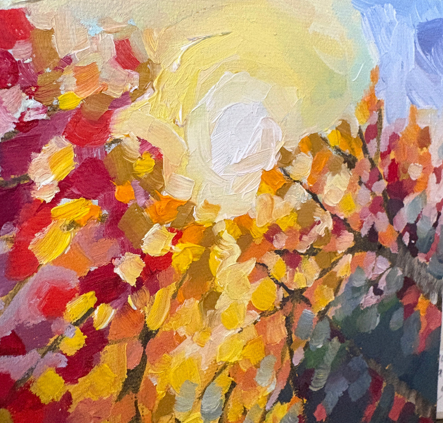 Fall Shadow Study