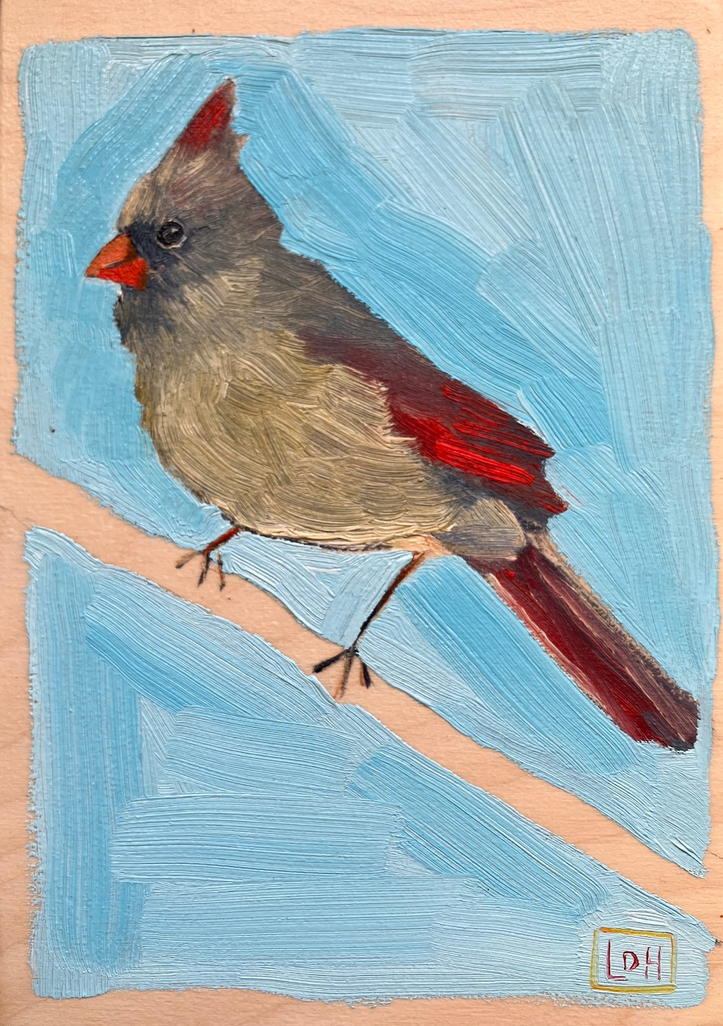 Female Cardinal