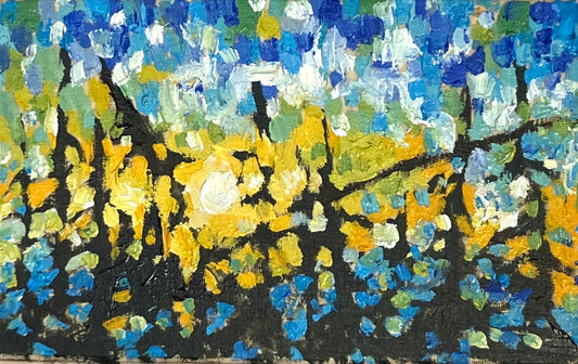 Tiny Forest Study no.2